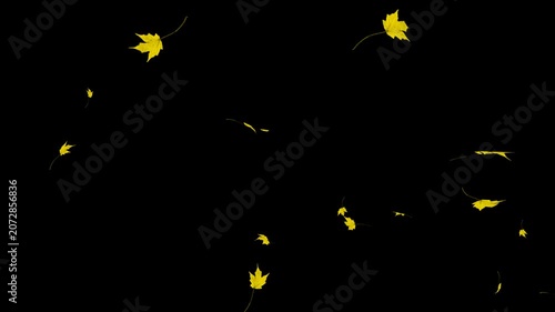 Gold positive countdown, Metallic number animation, Modern digital display