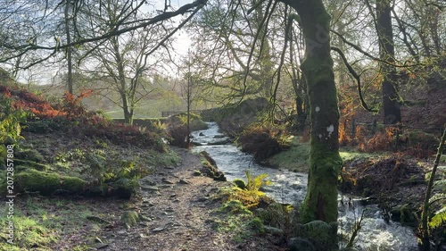 River and clear water in mountain area beautiful place with rushing torrent through trees and rocks in Cumbria England UK 4K