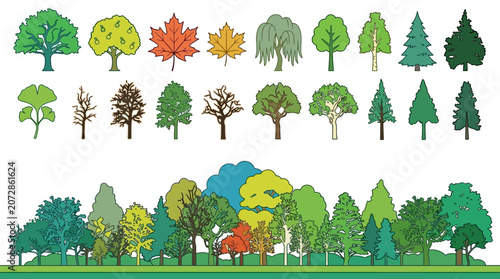 Set di icone vettoriali raffiguranti diverse specie di alberi stilizzati, con una collezione di singole sagome di alberi e una foresta densa in stile grafico su sfondo bianco