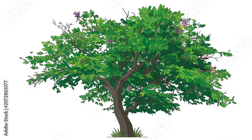 Illustrazione vettoriale di un albero rigoglioso con foglie verdi dettagliate e piccoli fiori viola, isolato su sfondo bianco, ideale per progetti di design grafico e paesaggistica.
