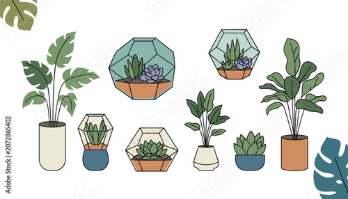 Lovely collection of potted house plants and succulents inside elegant geometric glass terrariums.