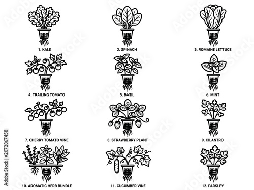 Hydroponic vegetable icons with roots in net pots for indoor farming.