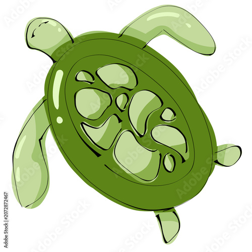 Cute green sea turtle illustration swimming alone