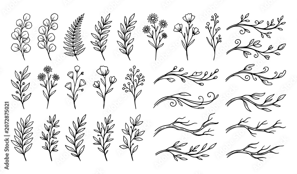 Fototapeta premium Botanical Branch Outline Collection Vector Illustration on White Background Nature Doodle Elements