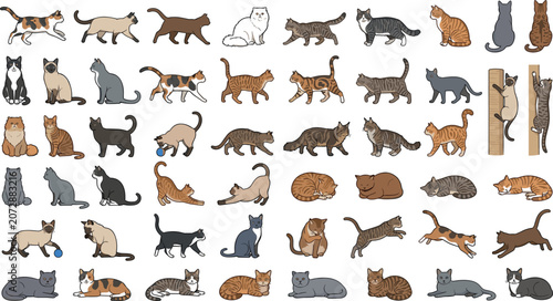 Obraz na płótnie Comprehensive vector set of domestic pet cats showing active behaviors like stre