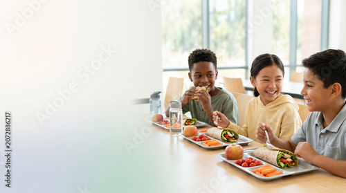Healthy School Lunch for Nutrition Education and Wellness Programs
