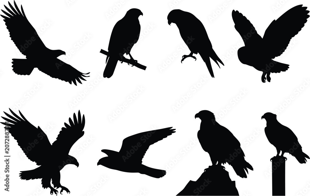 Fototapeta premium Birds of prey silhouettes set featuring soaring eagles flying hawks falcons and owls isolated on white background