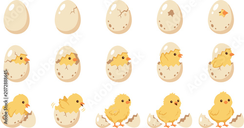 Bild auf Leinwand Step by step life cycle of newborn chicken mascot cracking open a spotted eggshe