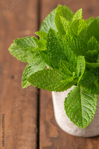 фотографія Fresh green mint leaves thrive in a small rustic pot set against a textured wood