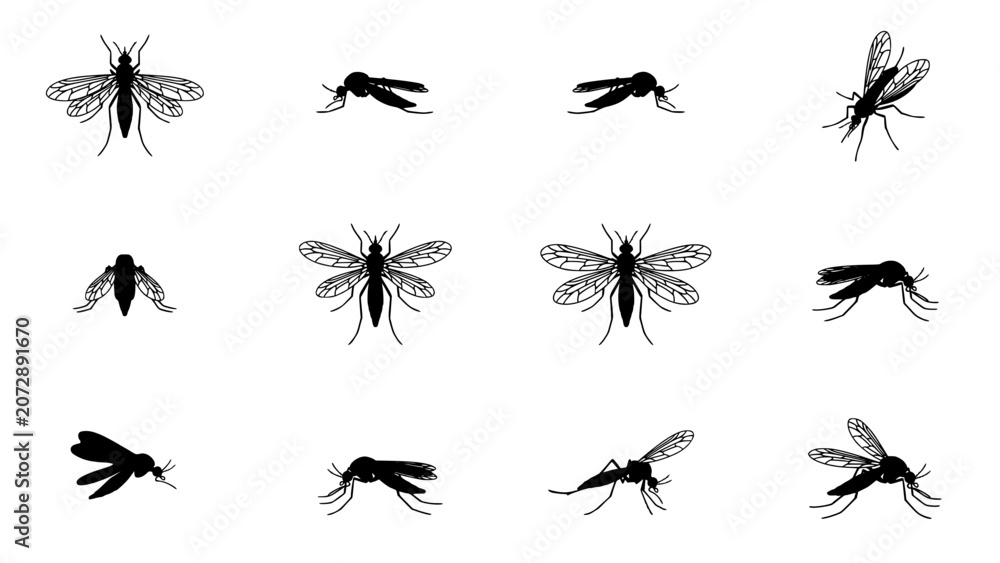 Fototapeta premium Mosquitoes in Various Poses and Styles in Black and White Illustration Featuring Mosquito, Insect, Vector with Silhouette