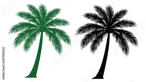 Palm vector illustration set featuring green and black tree