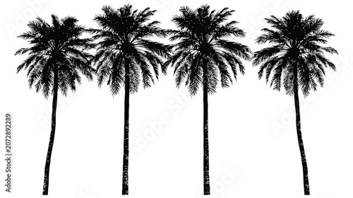 Palm vector silhouette four trees tropical landscape line art