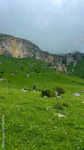 Panoramic Green Meadow Below Rocky Mountain Cliffs