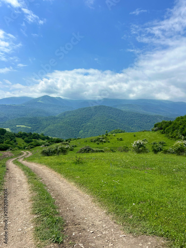 Panoramic Green Mountain Valley with Wildflowers and Distant Blue Peaks