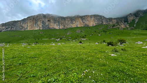 Panoramic Green Meadow Below Rocky Mountain Cliffs