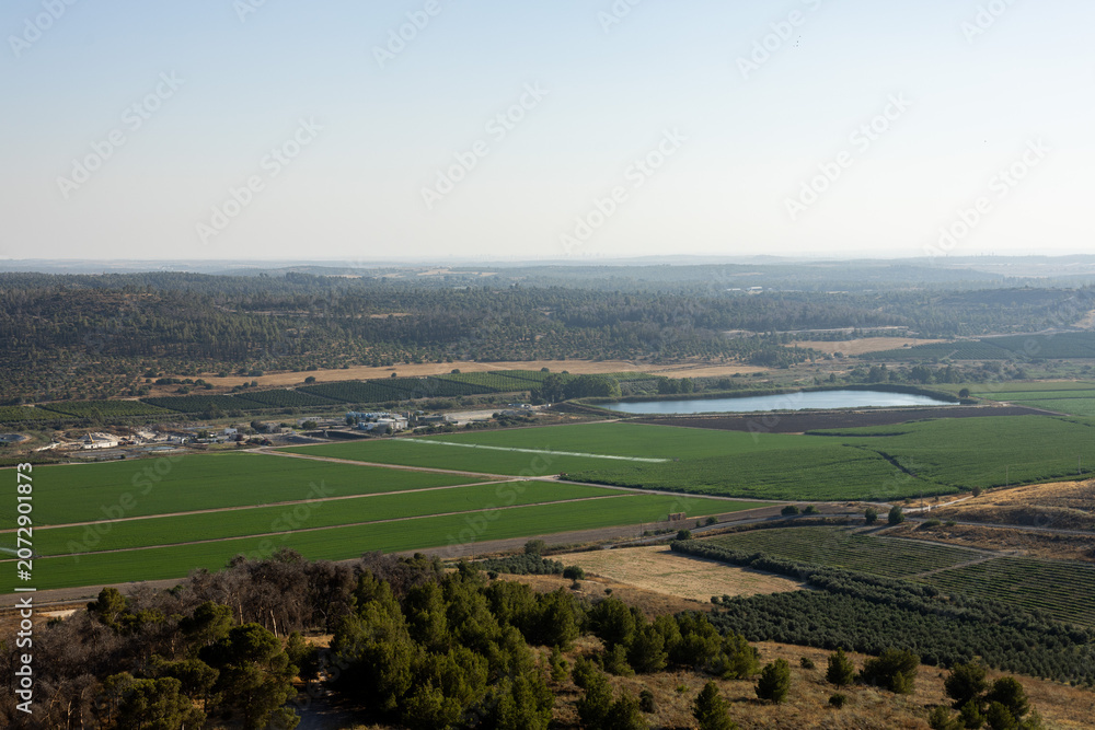 Naklejka premium Scenic view of vast green crop fields and a natural pond situated in a wide rural valley in Israel