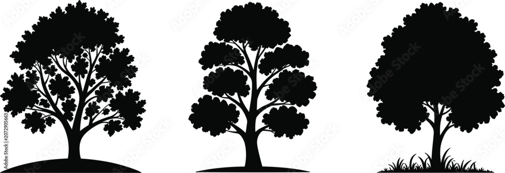 Fototapeta premium Black deciduous tree silhouettes set on white background, nature landscape element vector illustration