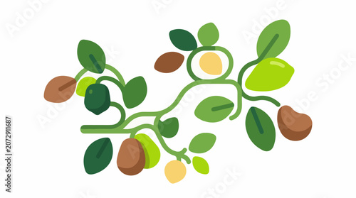 A colorful illustration of a plant with green leaves and brown and yellow fruits