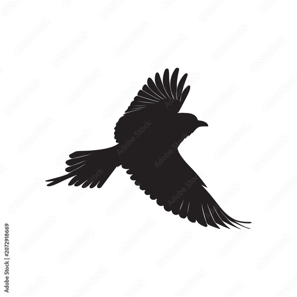 Obraz premium Flying Black Bird Silhouette Against White Background in Minimalist Style
