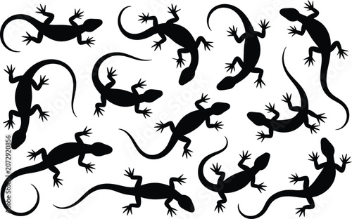 Canvastavla Pattern of eleven lizard silhouette icons with silhouette wildlife creature isol