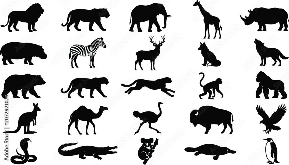 Fototapeta premium Black and white of various animals including mammals, birds, and reptiles