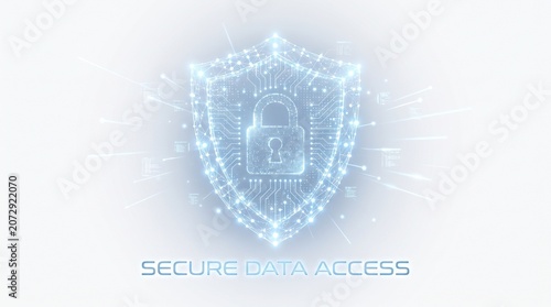 A digital shield made of interconnected lines protects data access with a padlock.