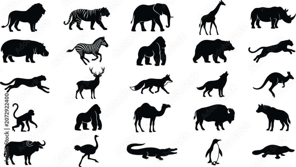 Fototapeta premium Black and white of various animals, including mammals, birds, and reptiles