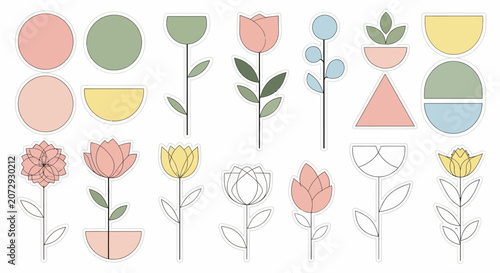 Modern Floral Geometric Shapes and Botanical Elements