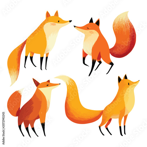 set of funny fox vectors