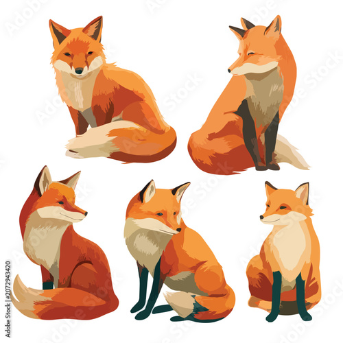 set of funny fox vectors