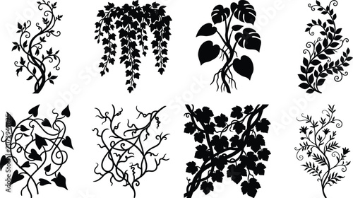 Botanical Vine Silhouette Collection with Floral Branches Ivy Leaves and Decorative Climbing Plants