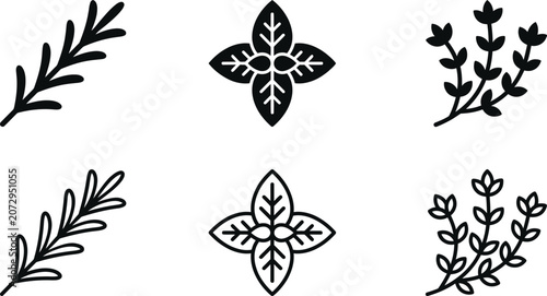 Quadro su tela herbs vector icon collection with leafy sprigs and botanical cross symbols for d