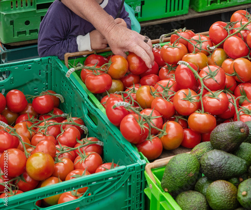 Grabbing fresh tomatoes at the farmers market  at Featherston New Zealand