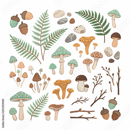 Colorful illustration of various mushrooms and plants 1.