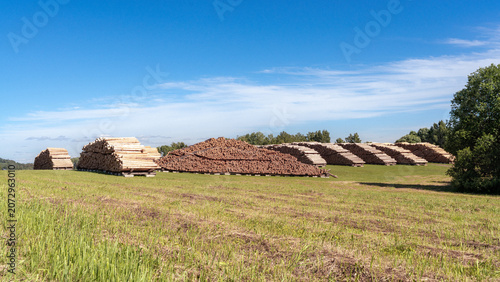 Photography Large Timber Log Storage Yard for Forestry Industry