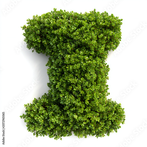 Shrubs trimmed into alphabet I isolated on white background.