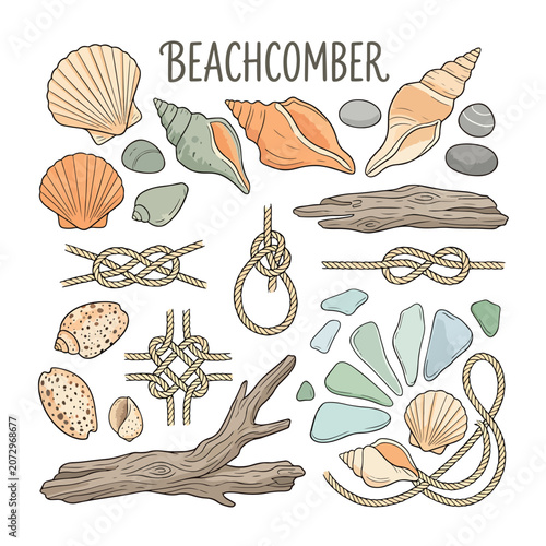 Beachcomber treasures on white background.