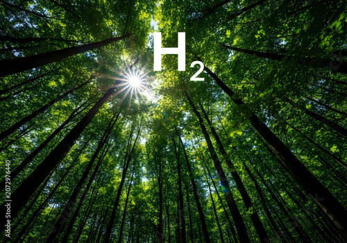 Hydrogen symbol h2 text over a lush green forest canopy with bright sun rays shining through tall trees in the woods
