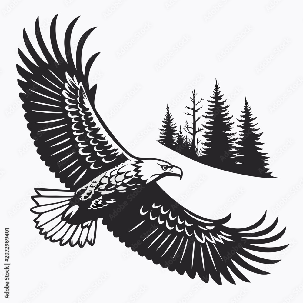 Fototapeta premium Bald eagle flying over dense pine forest silhouette vector graphic illustration with silhouette predator wildlife monochrome isolated outdoors