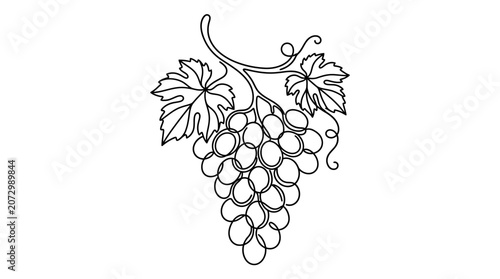The detailed line art illustration depicts a bunch of grapes hanging from a vine with leaves.