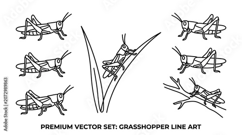 A set of various line art grasshoppers jumping on a blade of grass outdoors