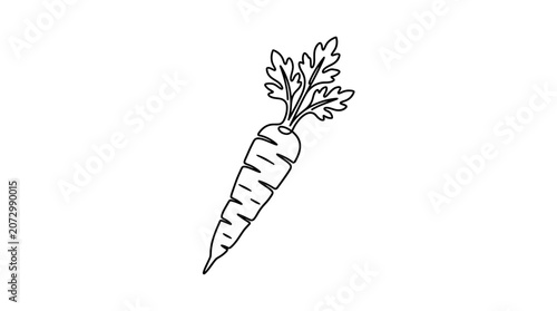 A single line art carrot illustration depicts a vegetable in a simple drawing style.