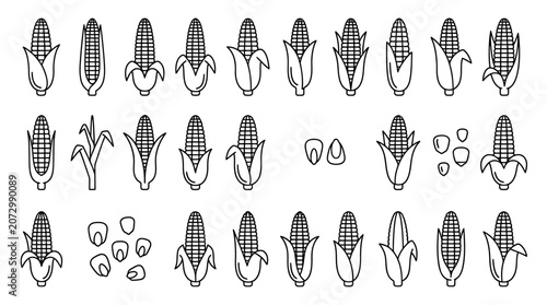A detailed line art illustration of various corn and corn kernels in different stages.