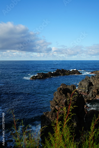 Volcanic Lava Rocks with Red Flowering Plants and Crashing Atlan