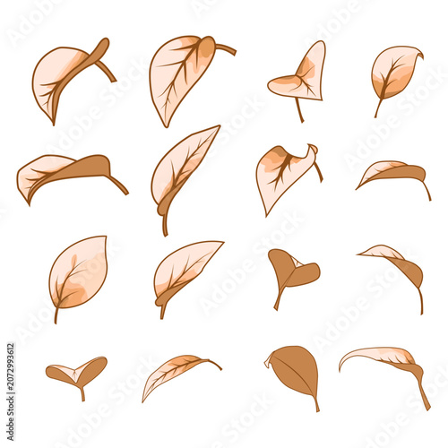 A large set of stylized autumn leaves in a flat vector style.