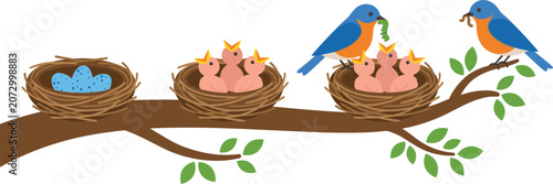 Cute blue bird family nesting on tree branch with eggs and baby chicks wildlife cartoon vector illustration set