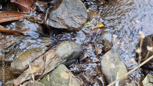 Small water flow in irrigation for the rice field