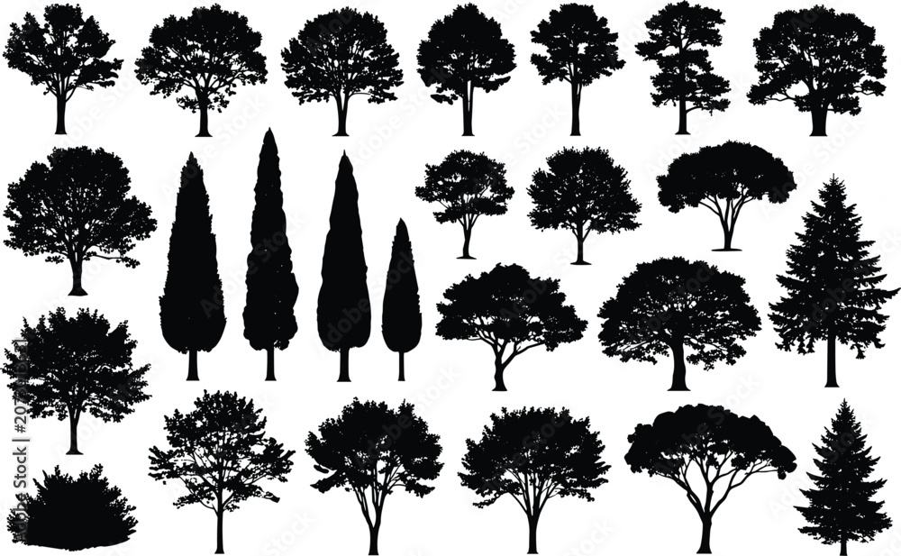 Fototapeta premium Tree silhouettes collection with diverse species and foliage patterns, vector illustration for landscape, nature, botanical, and creative design projects
