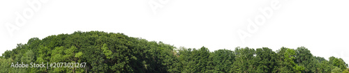 fresh green forest hill and mountains landscape covered with lush green trees. sky is isolated on white or transparent png