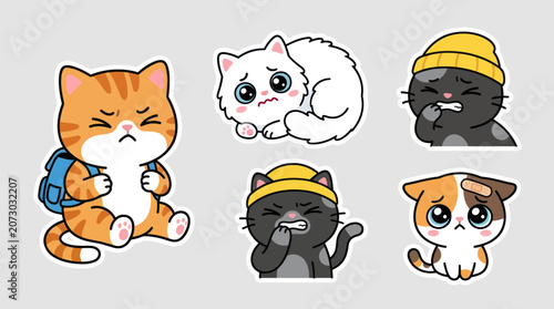 Photos Cute sad cat expressions